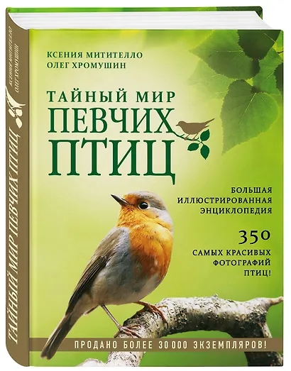 Тайный мир певчих птиц. Большая иллюстрированная энциклопедия - фото 3