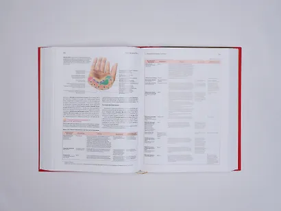 Анатомия человека. Эксклюзивное издание с 50-летней историей. Том 1 - фото 15