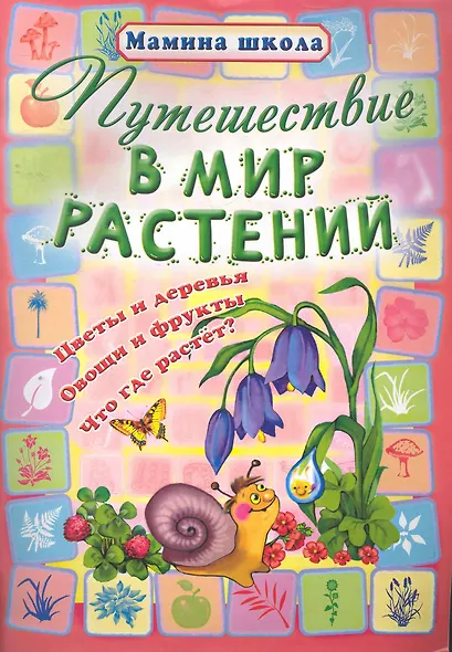 Путешествие в мир растений - фото 1