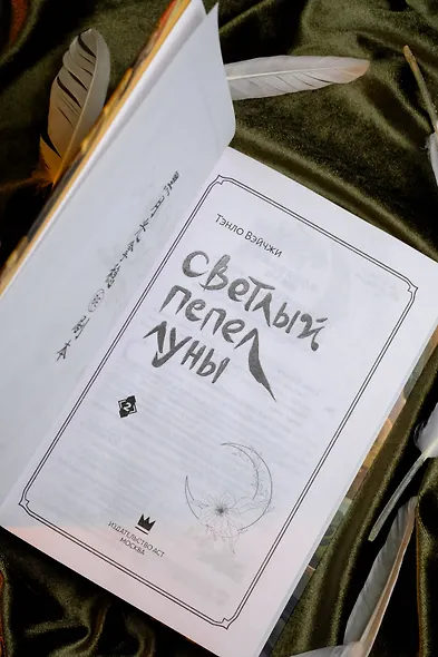 Светлый пепел луны. Книга 2. Новелла - фото 10