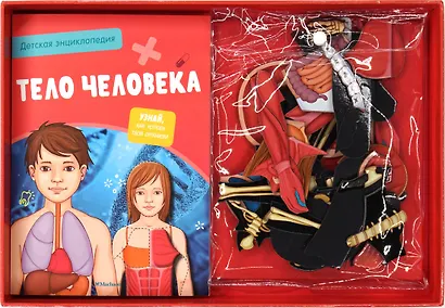 Тело человека. Детская энциклопедия (нов.оф.) (в коробке) - фото 3