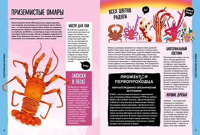 Мир вокруг тебя. Тайны мирового океана - фото 10