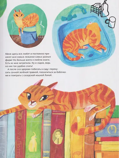 Кошачье досье - фото 4