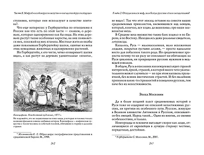 О русском воровстве, душе и долготерпении - фото 12