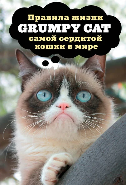 Grumpy Cat. Правила жизни самой сердитой кошки в мире - фото 1