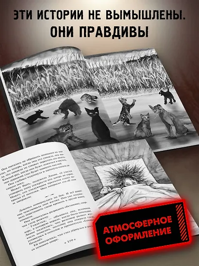 Не моргай! - фото 5