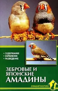 Зебровые и японские амадины. Содержание. Кормление. Разведение - фото 1