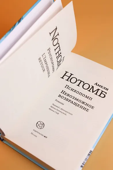 Психопомп. Невозможное возвращение - фото 9