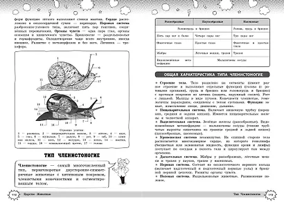 Биология - фото 9