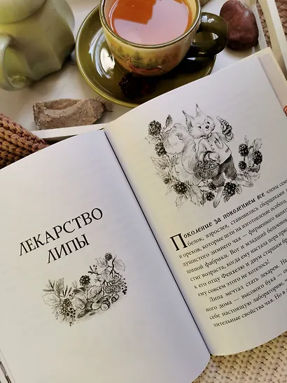 Лес Вверх Тормашками. Уютные сказки со вкусом чая - фото 12