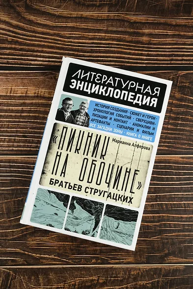 "Пикник на обочине" Братьев Стругацких - фото 5