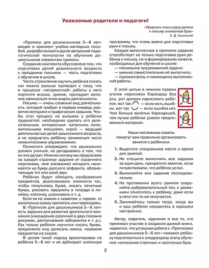 Прописи для дошкольников 5-6 лет. Графические навыки, внимание, самостоятельность - фото 3