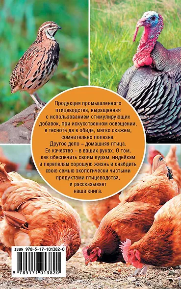 Птицеводство для начинающих - фото 2