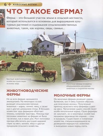 Животные фермы. Детская энциклопедия (новая обл.) - фото 2