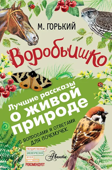 Воробьишко - фото 1