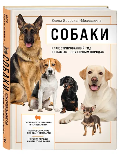 Собаки. Иллюстрированный гид по самым популярным породам - фото 3