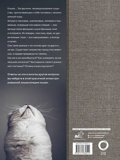 Кошки - фото 2