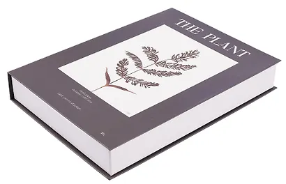 Коробка подарочная "Растение" 25*18*3,8 картон, на магните - фото 4