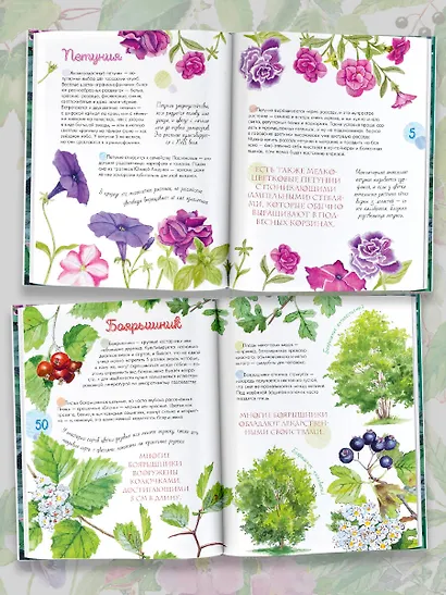 Растения в городе - фото 4