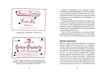 Винный эксперт за 24 часа - фото 7