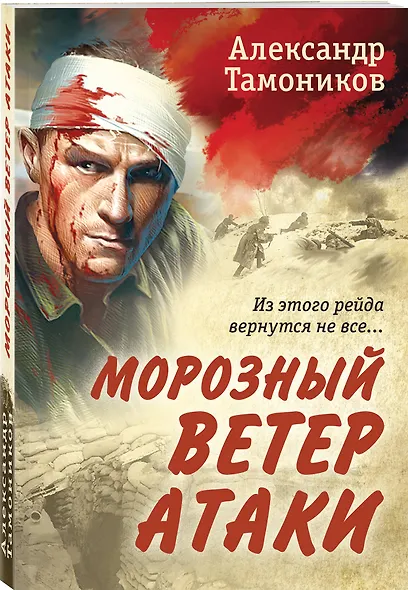 Морозный ветер атаки - фото 3