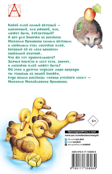 Лисичкин хлеб - фото 2