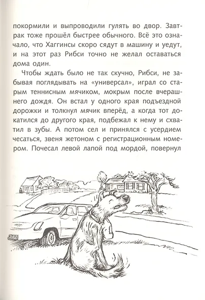 Рибси - фото 5