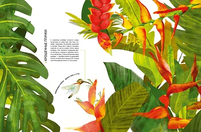 Самые удивительные животные в натуральную величину - фото 11