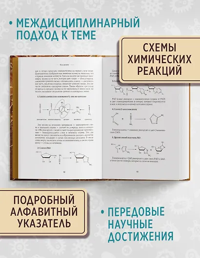 Код жизни. Как случайность стала биологией - фото 4