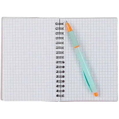 Записная книжка А6 80л кл. "Candy" серебрян.перламутр, пласт.обл., спираль, ErichKrause - фото 2