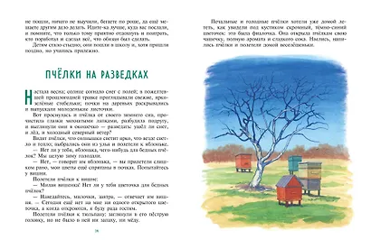 Рассказы и сказки о животных (ил. С. Ярового, В. Бастрыкина) (у.т.) - фото 4