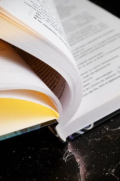 Сумеречный Сад - фото 8