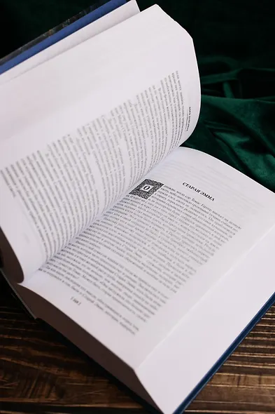 Человек, который съел феникса. Хроники Тенистой Долины - фото 12