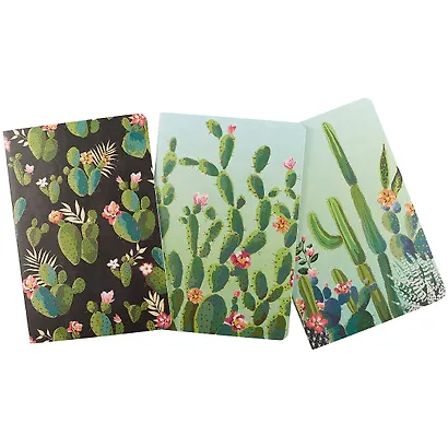 Тетрадь общая «Blooming cactus», 24 листа в клетку, А5, в ассортименте - фото 2