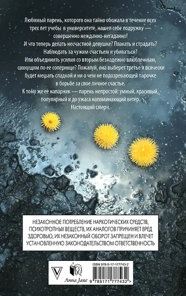 Мой идеальный смерч - фото 2