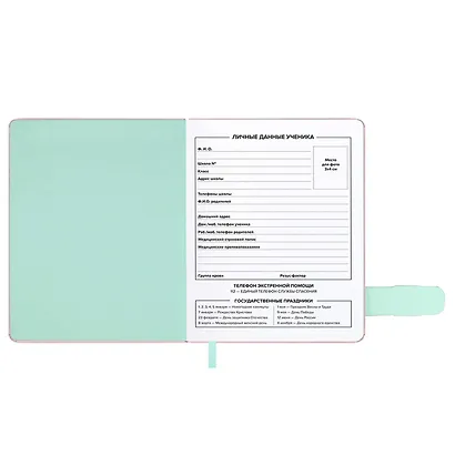 Дневник шк. "Всё норм" кожзам, тв.переплёт, тиснение фольгой, магнит.клапан, пантон, одно ляссе, загругл.углы, универс.шпаргалка - фото 10