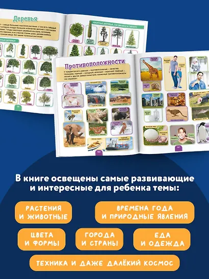 5000 фотографий, которые можно рассматривать целый год - фото 4