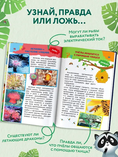 А правда, что... - фото 5