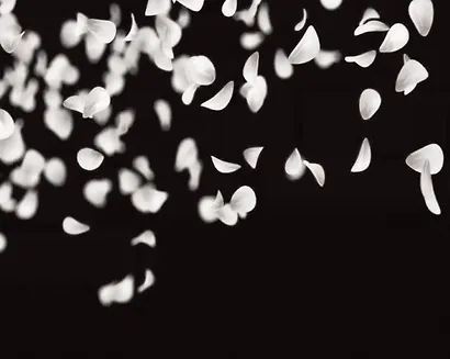 Невинная вишня - фото 9