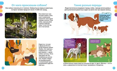 Любимые питомцы - фото 11