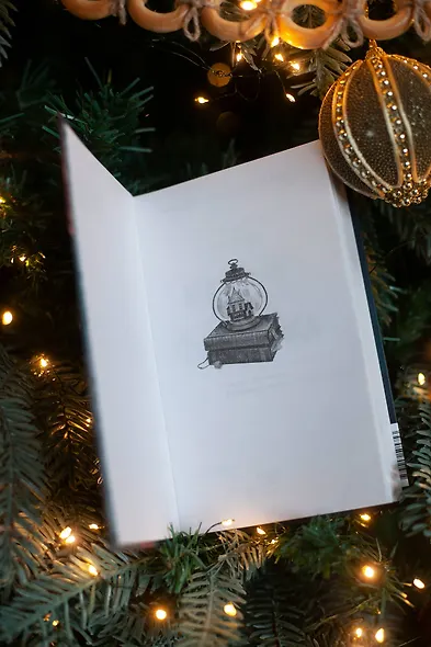 Книжная лавка фонарщика - фото 10