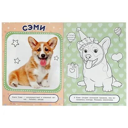 Фотораскраска. Щенки - фото 2