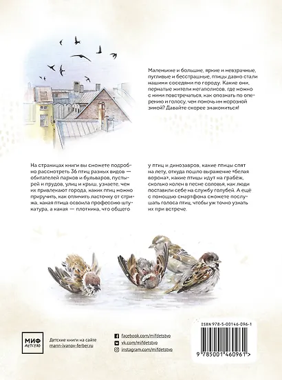 Птицы в городе. Где найти и как узнать - фото 2