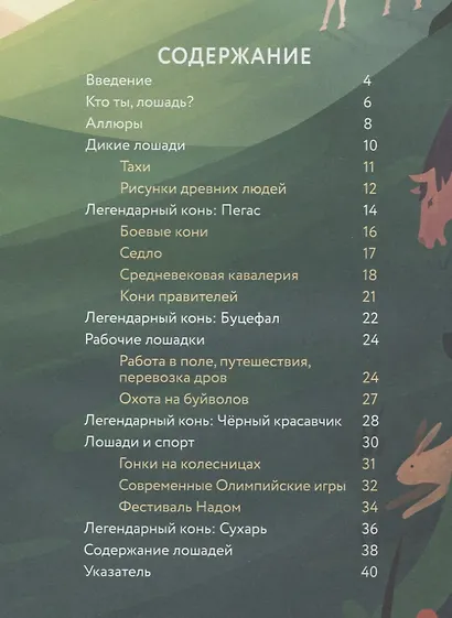 Лошади: дикие и прирученные - фото 6