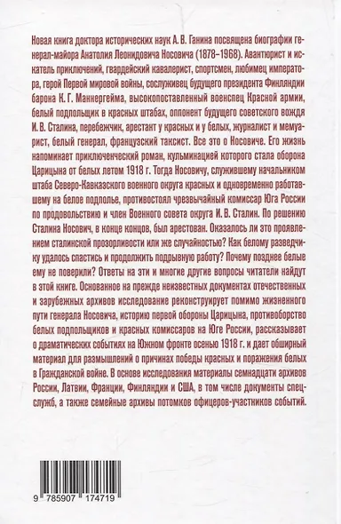 Белый агент при Сталине. Жизнь и борьба генерала Носовича - фото 2