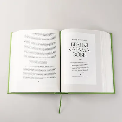 [2 тома] Полка: О главных книгах русской литературы - фото 6