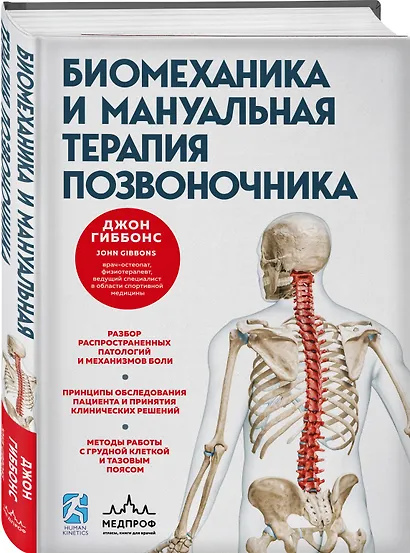Биомеханика и мануальная терапия позвоночника - фото 3