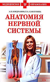 Анатомия нервной системы - фото 1
