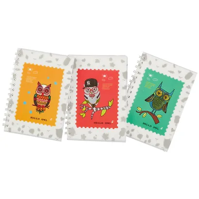 Тетрадь в клетку Hai Bin, Hello owl, 80 листов, в ассортименте - фото 6