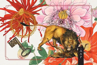 Зеленая лесная Магия. Witch Oracle Cards - фото 9